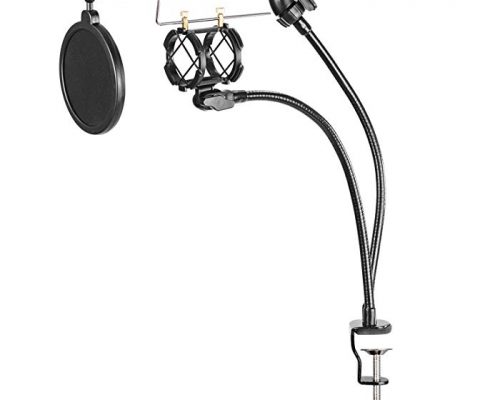 Neewer Microphone & Phone Stand kit for Internet Karaoke/Phone Karaoke/MV Recording or More, includes: Microphone Holder, Pop Filter, Phone Holder Clip, Table Clamp and 2 Metal Goosenecks Review